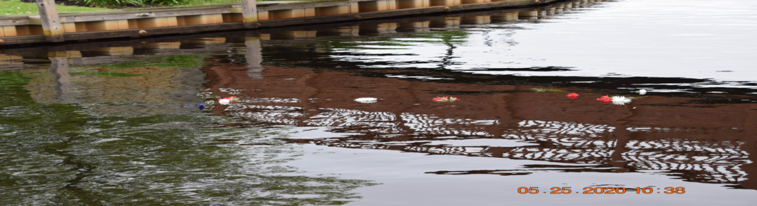 13dsc_0065