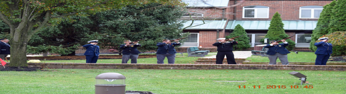 veteransdayparade2015_13